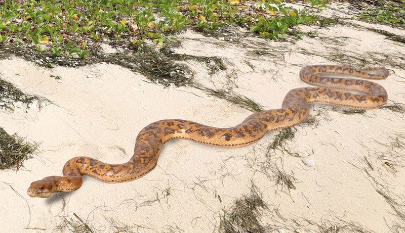 8'L Python Old World Snake Display Prop Animal Wildlife Decor