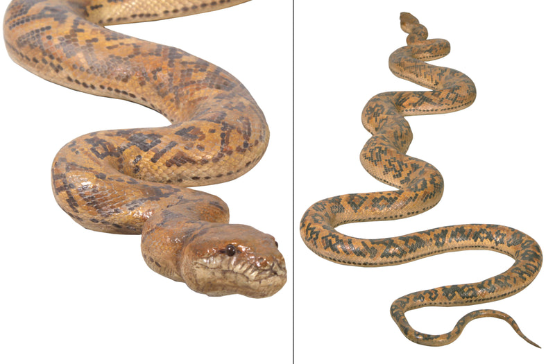 8'L Python Old World Snake Display Prop Animal Wildlife Decor