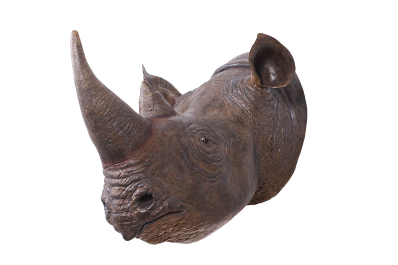 Rhinoceros Head Safari Wall Decor