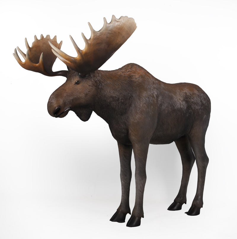 Life Size Faux Alaskan Yukon Bull Moose Mount with Antlers