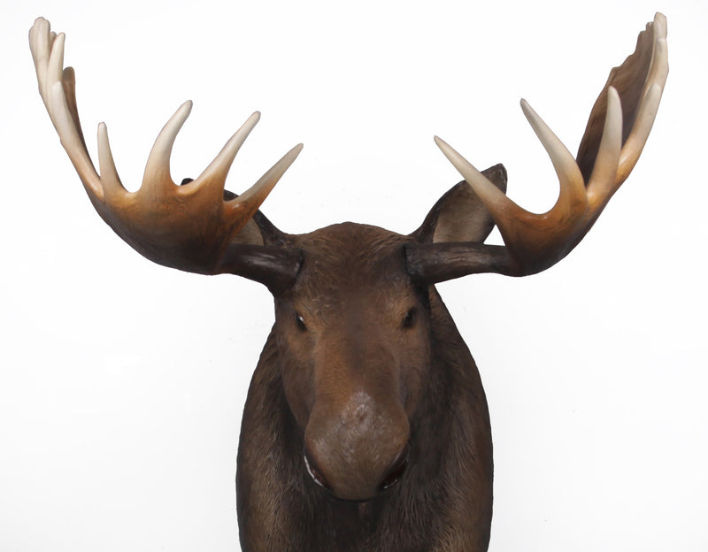 Life Size Faux Alaskan Yukon Bull Moose Mount with Antlers