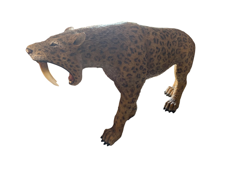 Saber Toothed Tiger LifeSize Statue