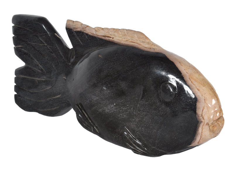 Mountain Studios Petrified Wood Fish 21 Inch Authentic Specimen, Fossil, Stone Artist Sculpture