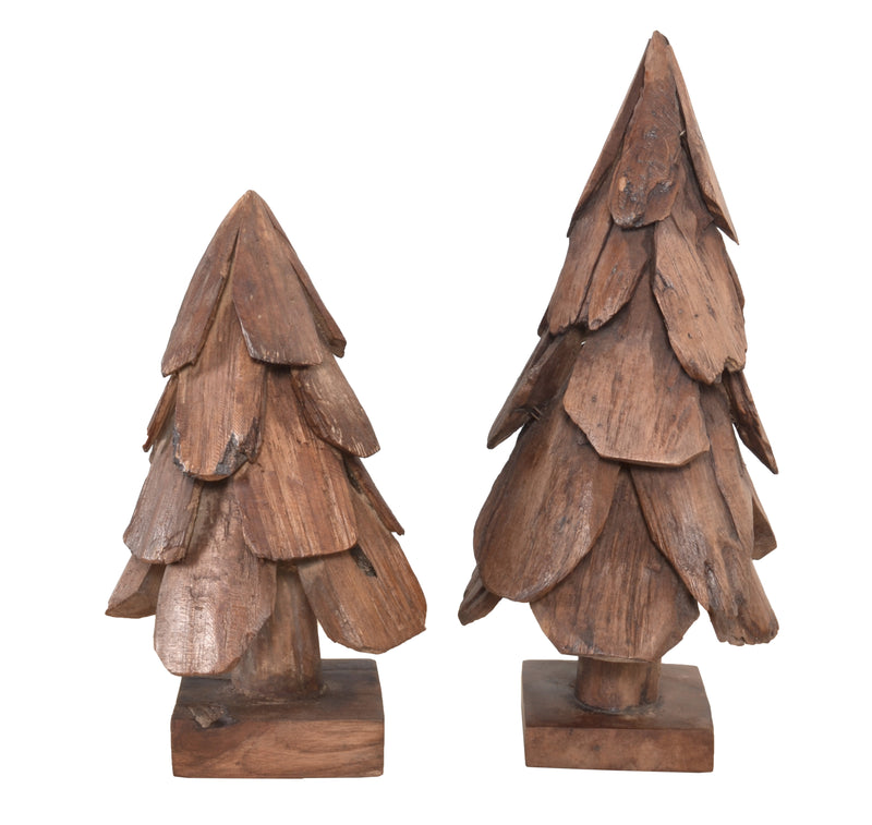 Mountain Studios Teak Tree Set of 2
