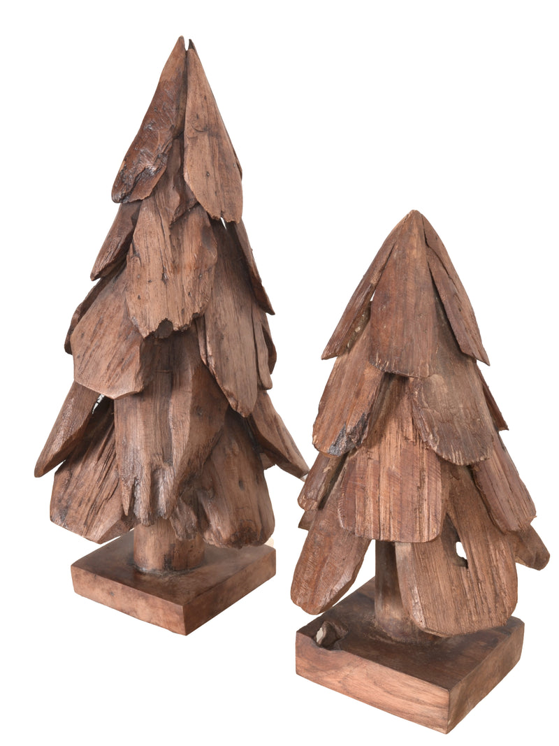 Mountain Studios Teak Tree Set of 2