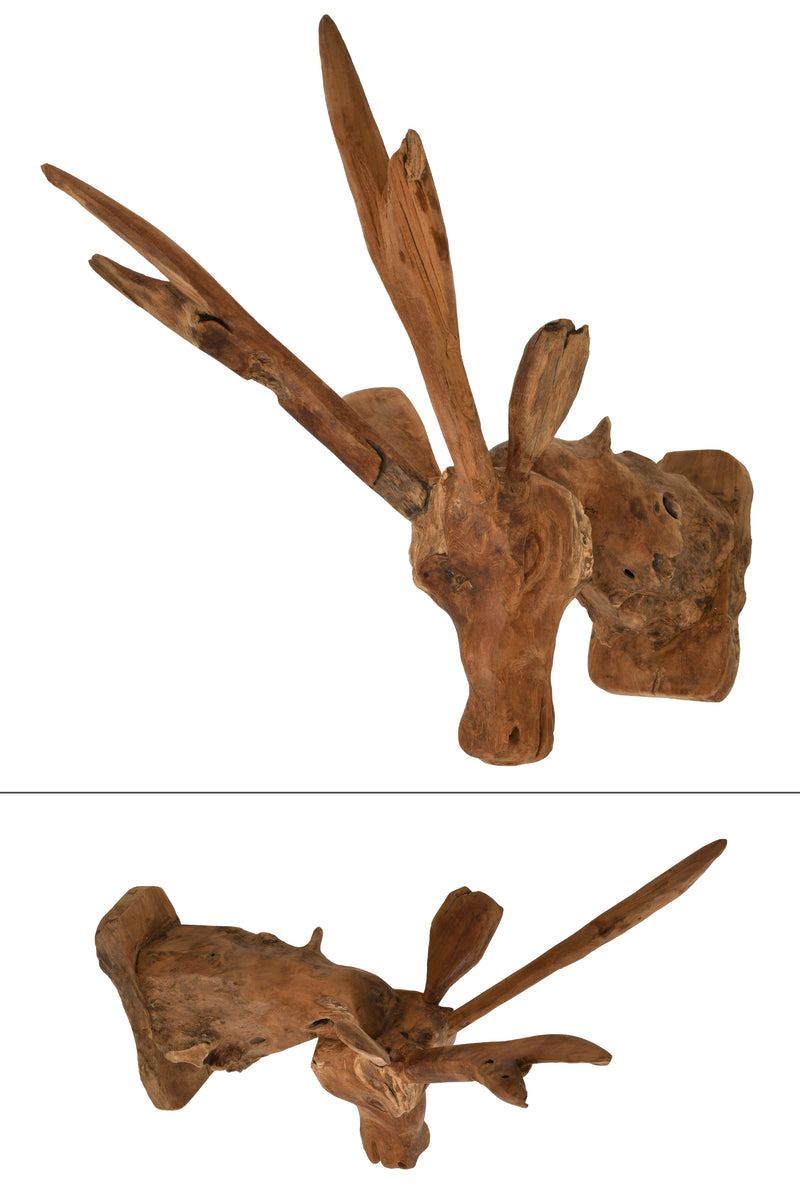 Teak Trophy Deer Head Wall Mount Sculpture 12"W x 17"D x 29"H