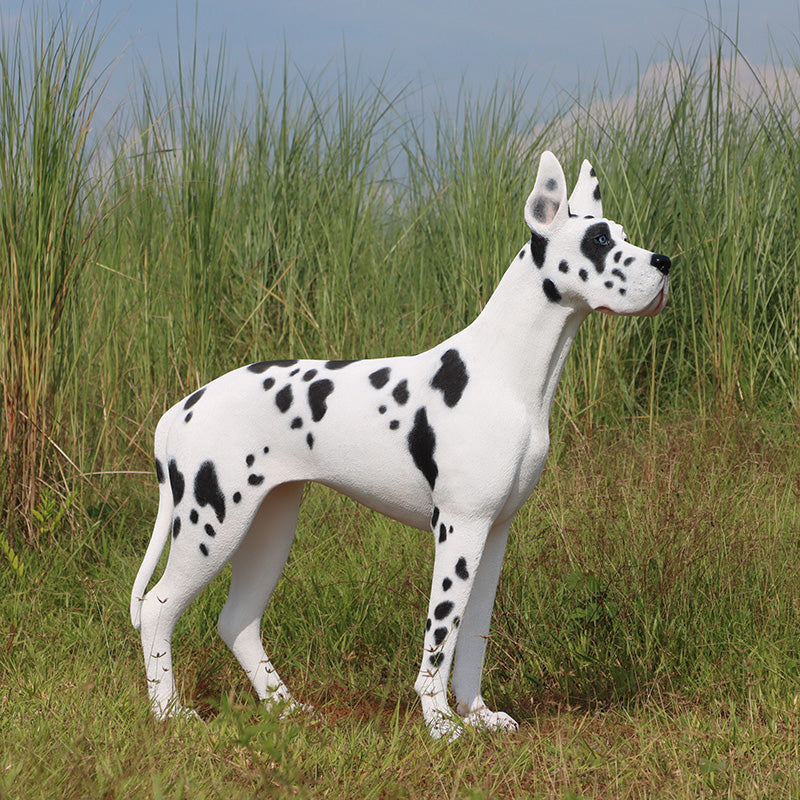 Standing Great Dane
