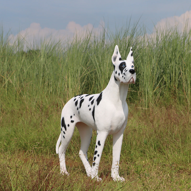 Standing Great Dane