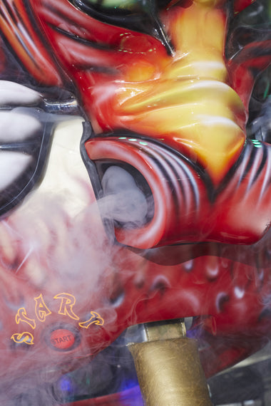 Kalkomat Boxer Dragon