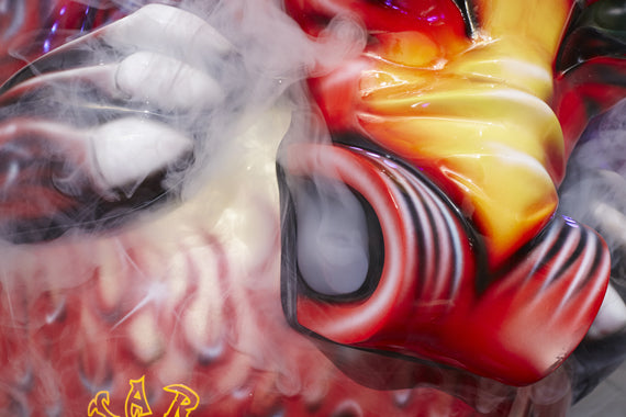 Kalkomat Boxer Dragon